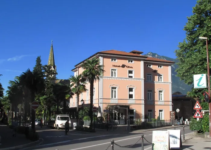  Olivo
